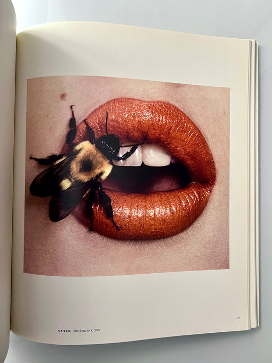 BEYOND BEAUTY IRVING PENN