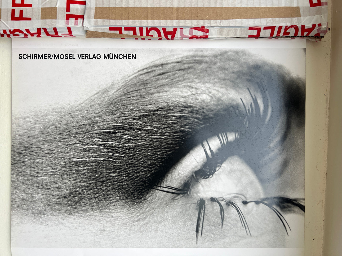 HELMUT NEWTONS ILLUSTRATED VOLUME 2