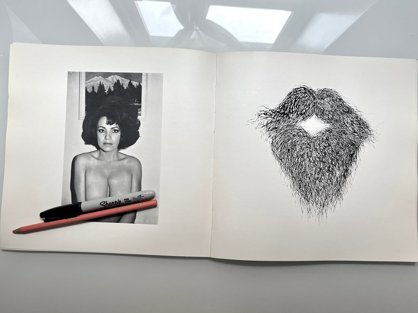 WORK FROM THE SAME HOUSE.LEE FRIEDLANDER & JIM DINE 1969 first edition