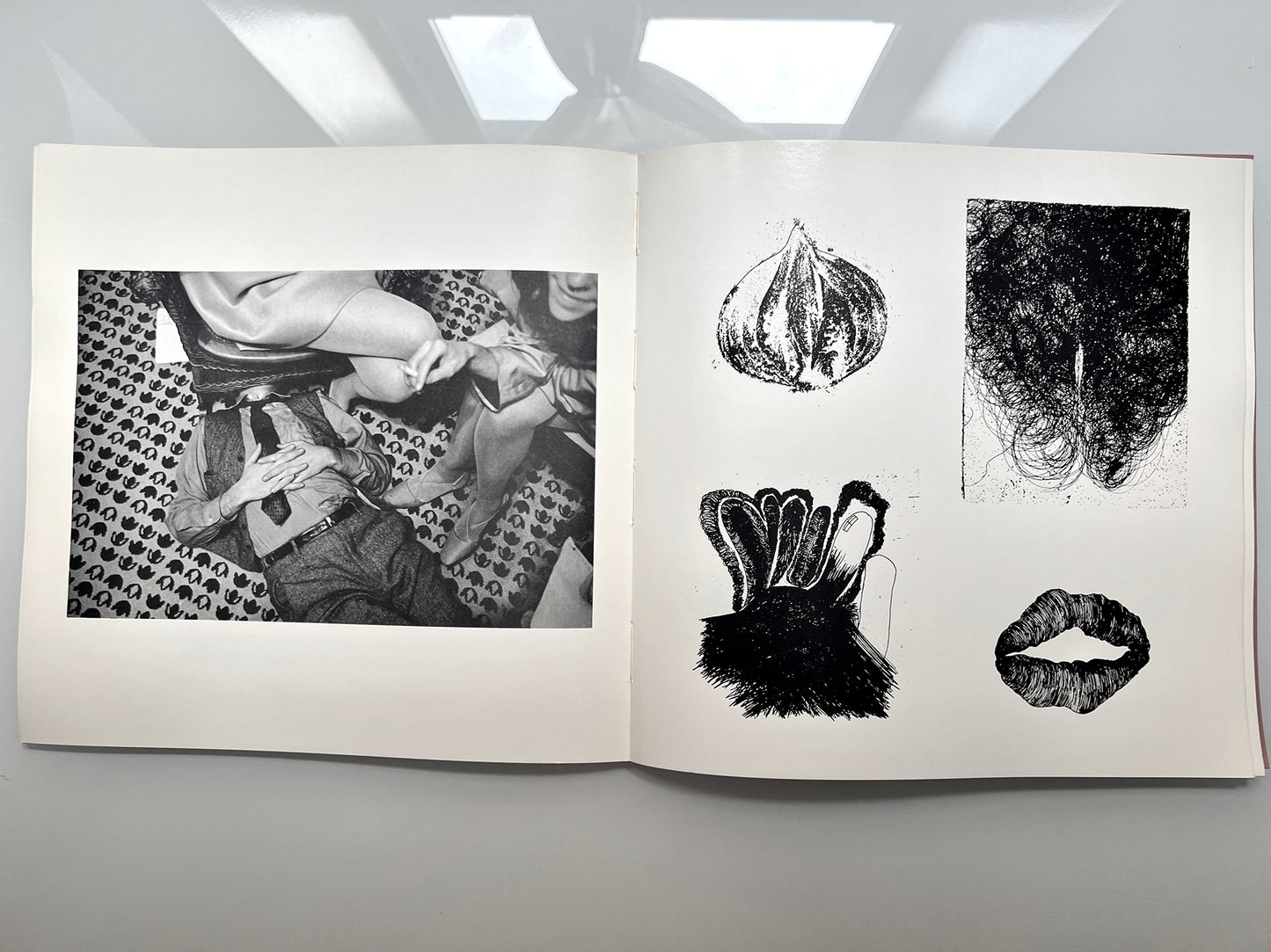 WORK FROM THE SAME HOUSE.LEE FRIEDLANDER & JIM DINE 1969 first edition