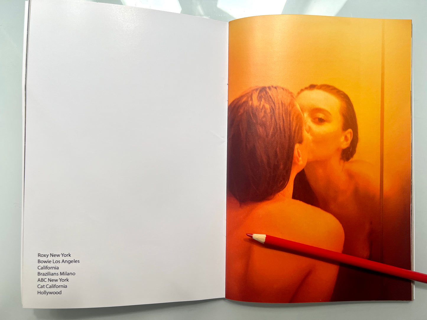 COUPLES.CHRIS HEADS published by Purpose editions
