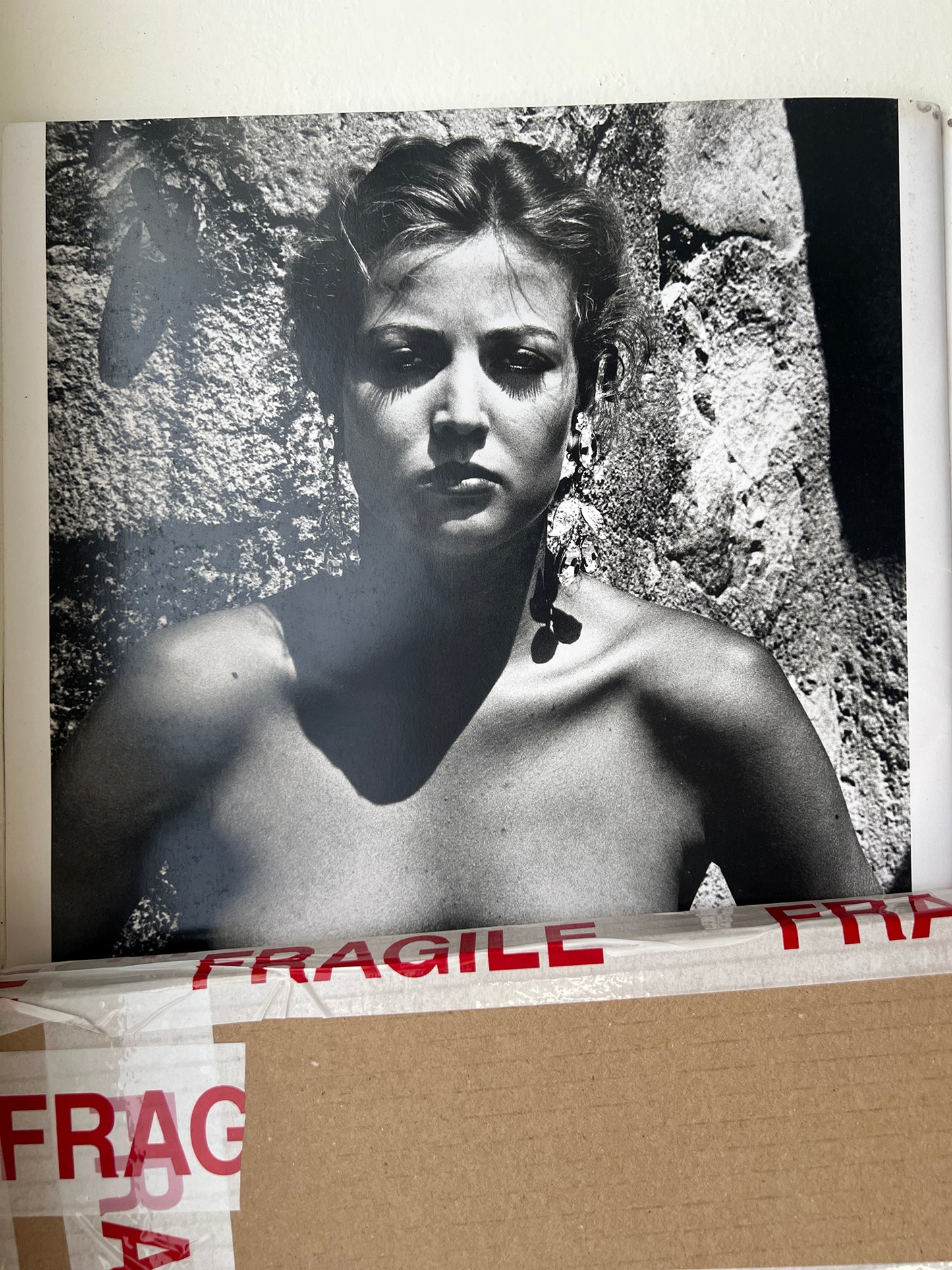HELMUT NEWTONS ILLUSTRATED VOLUME 2