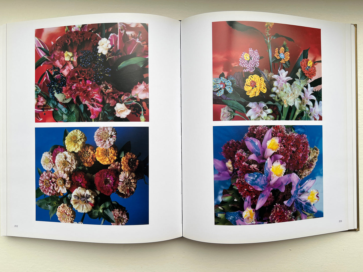 ARAKI GOLD 2008