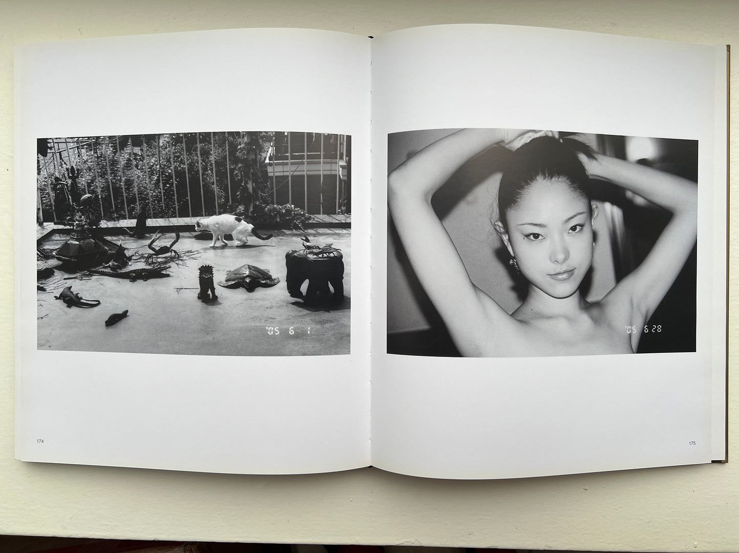 ARAKI GOLD 2008