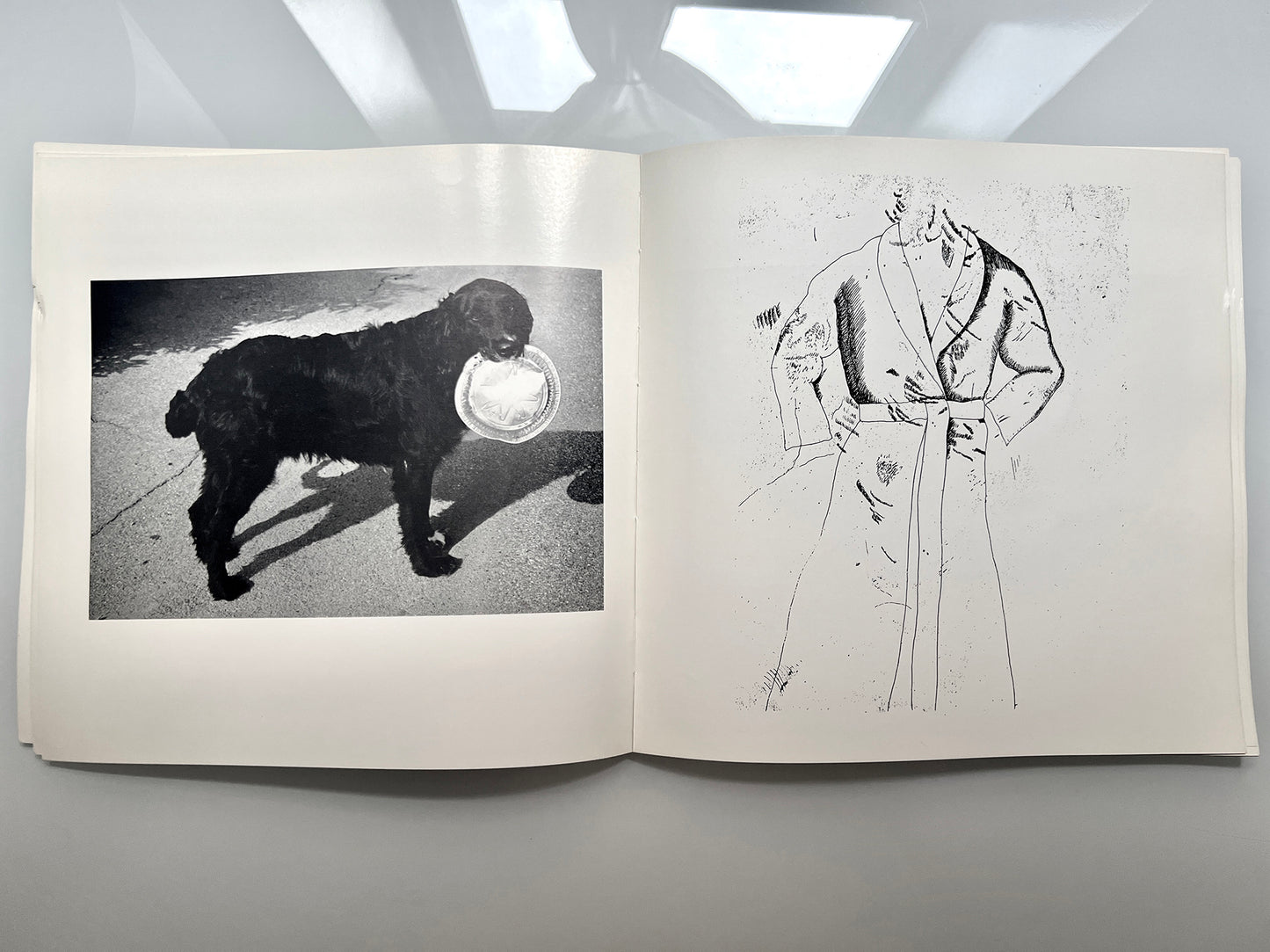 WORK FROM THE SAME HOUSE.LEE FRIEDLANDER & JIM DINE 1969 first edition
