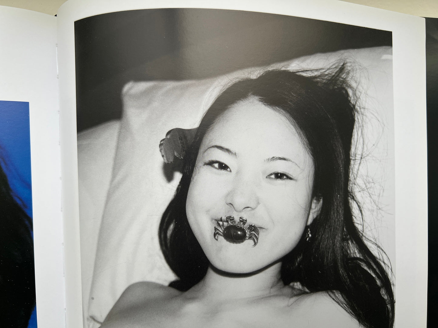 ARAKI GOLD 2008