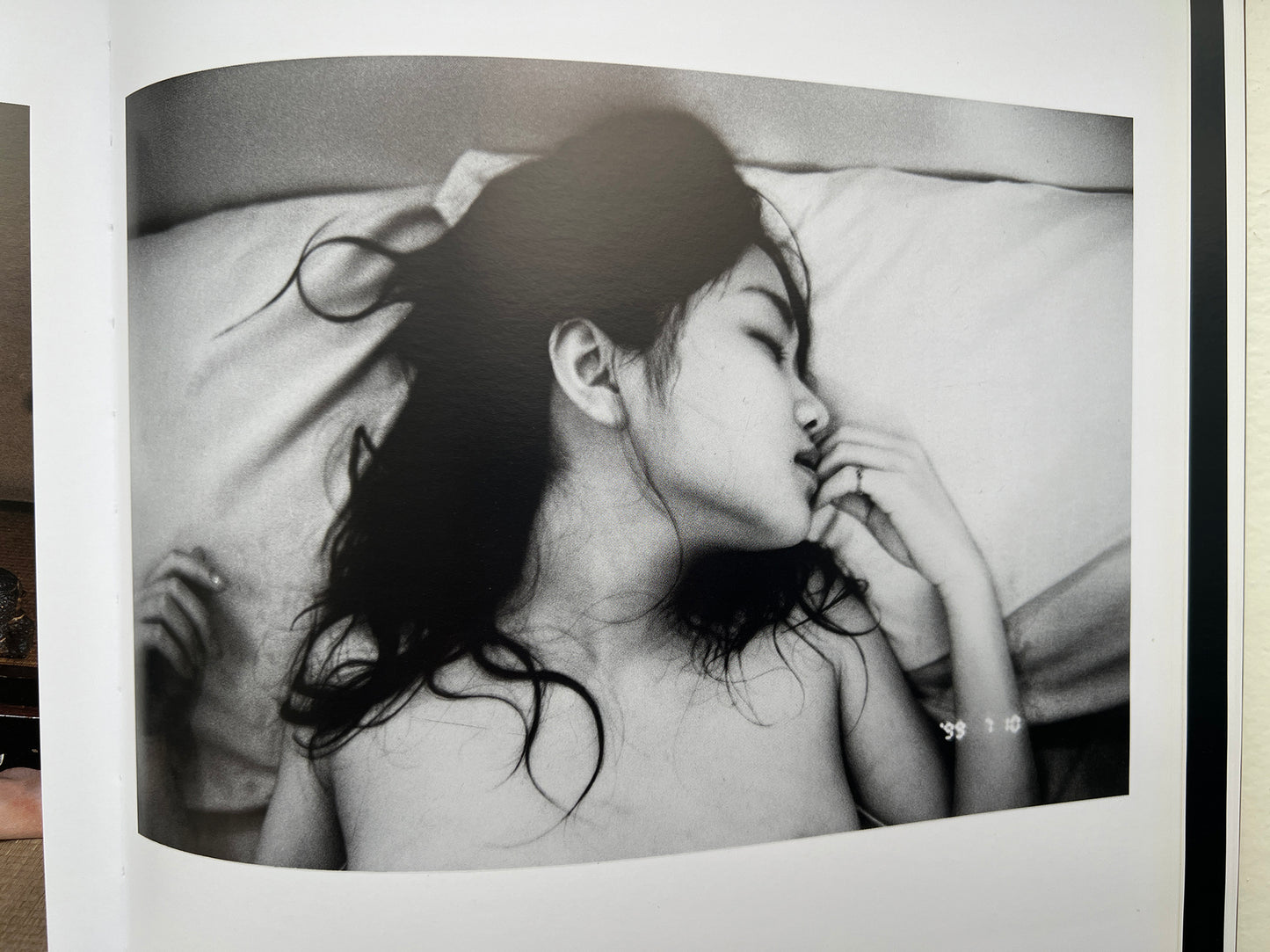 ARAKI GOLD 2008