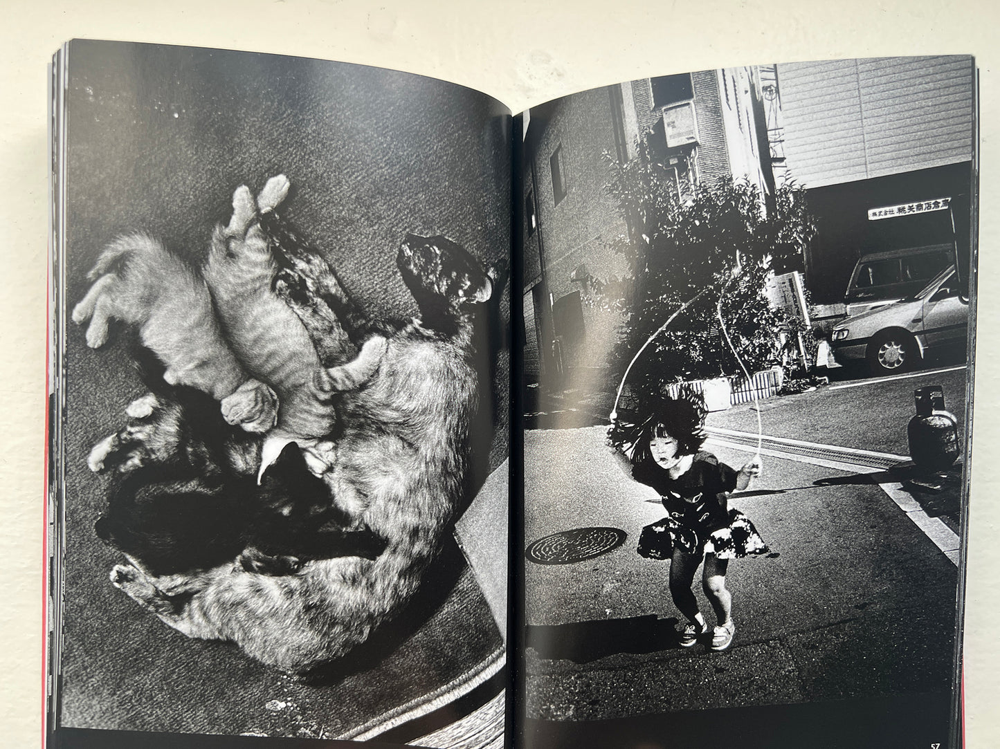 Photo file DAIDO MORIYAMA