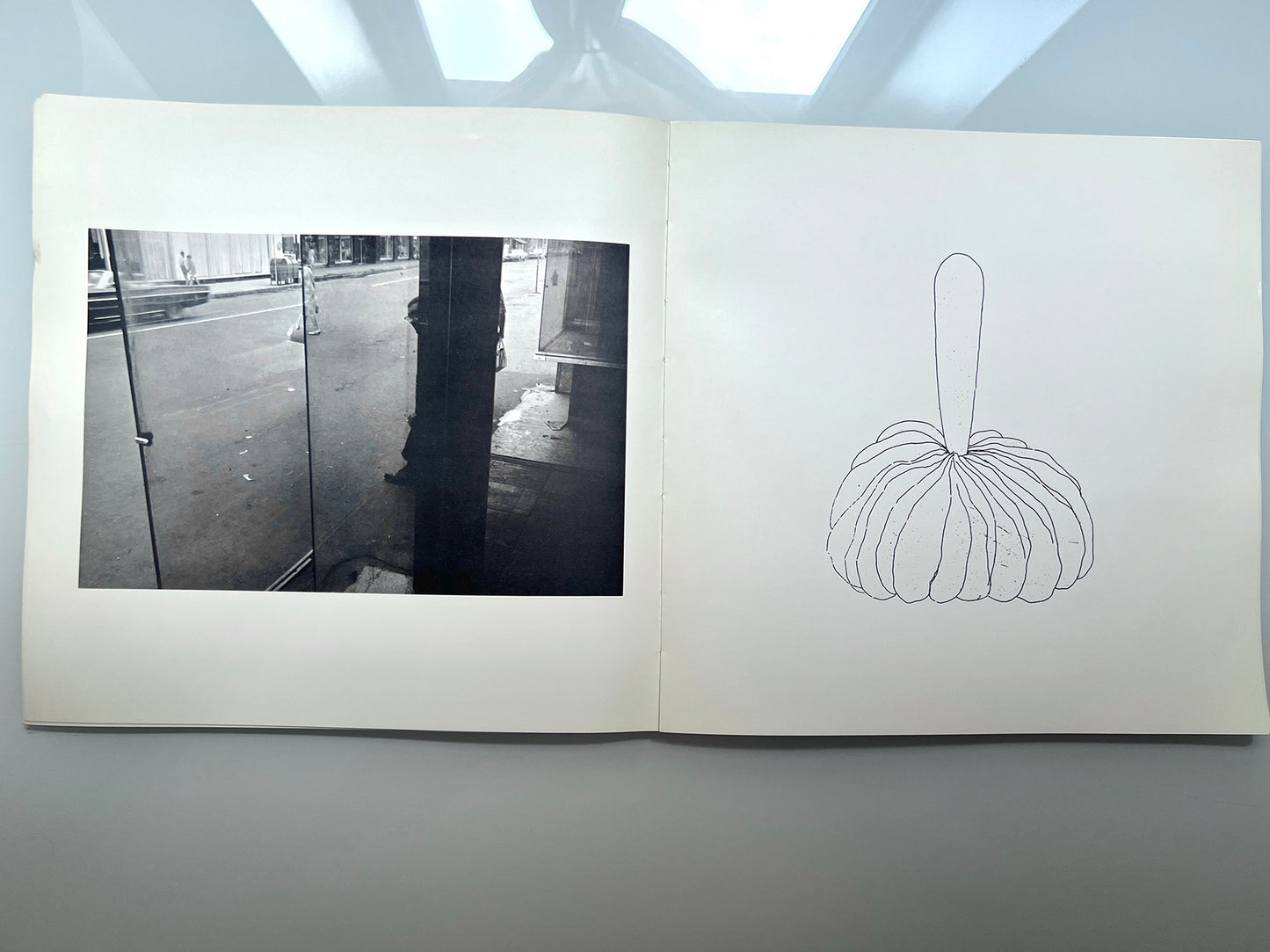 WORK FROM THE SAME HOUSE.LEE FRIEDLANDER & JIM DINE 1969 first edition