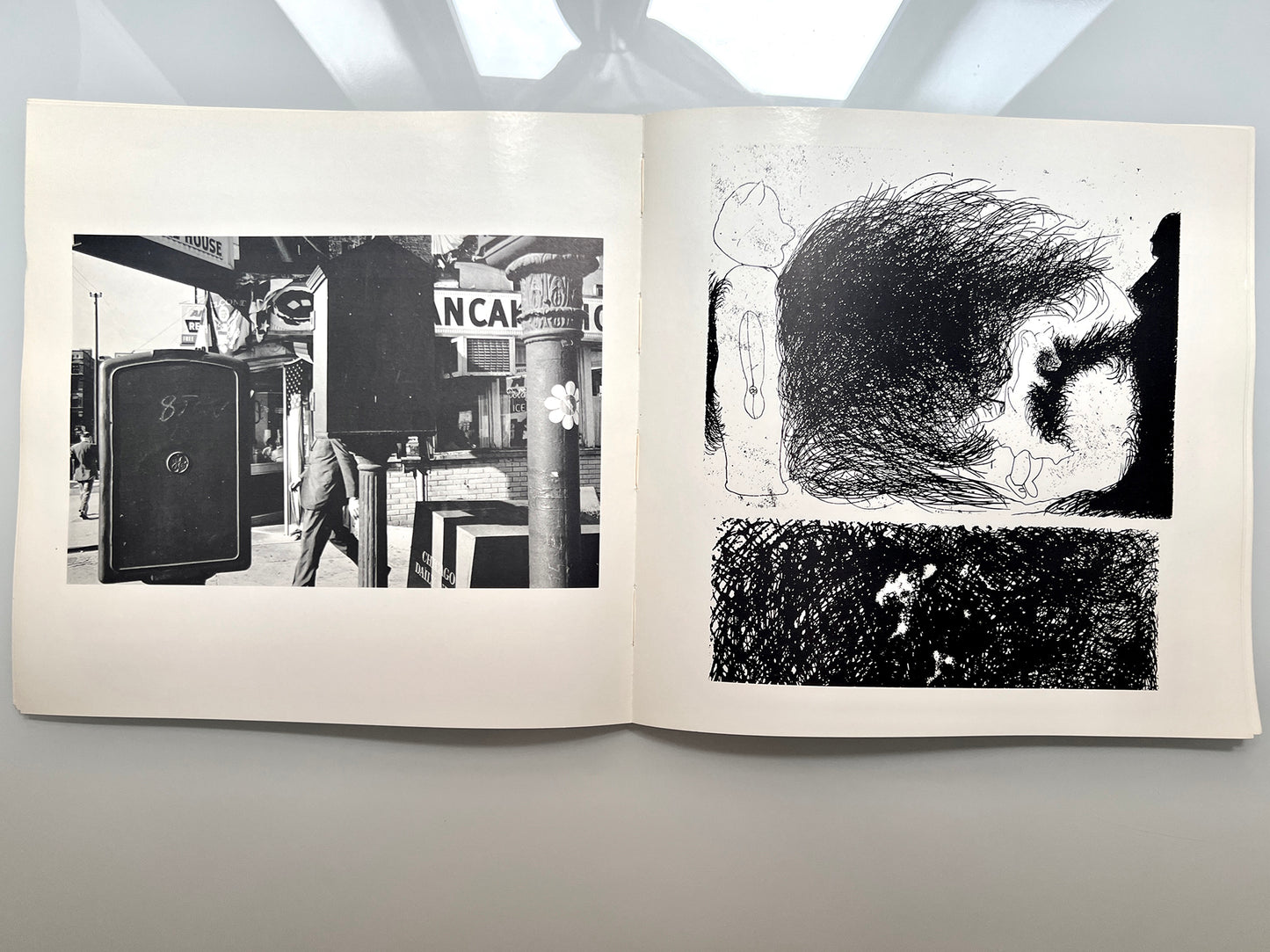 WORK FROM THE SAME HOUSE.LEE FRIEDLANDER & JIM DINE 1969 first edition