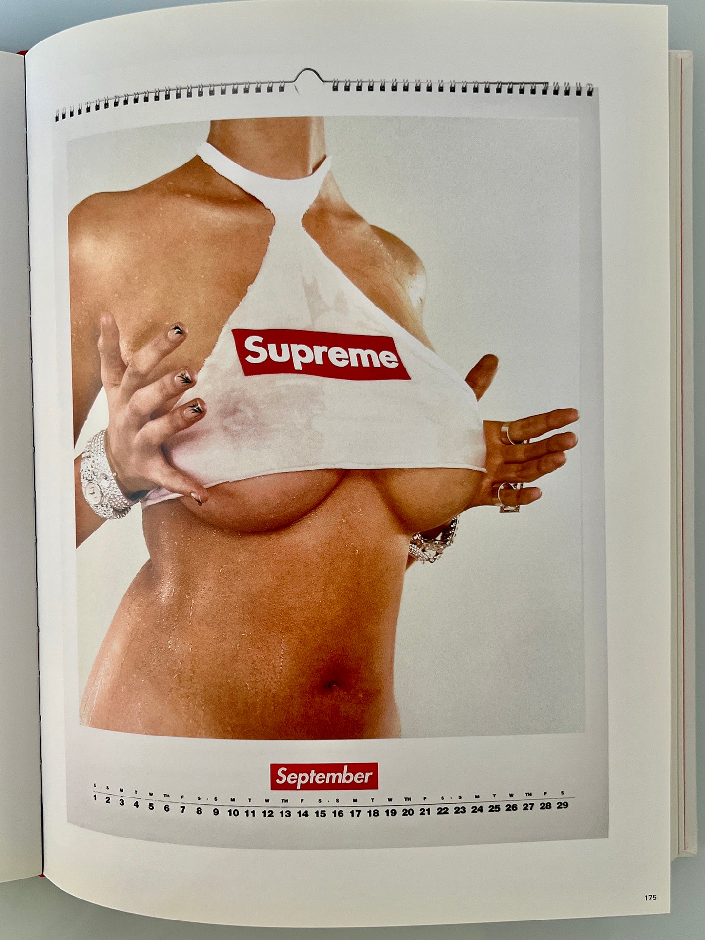 SUPREME BY SUPREME rizzoli James Jebbia