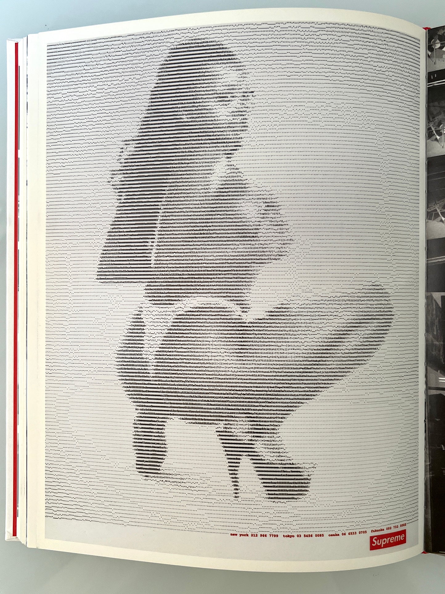SUPREME BY SUPREME rizzoli James Jebbia