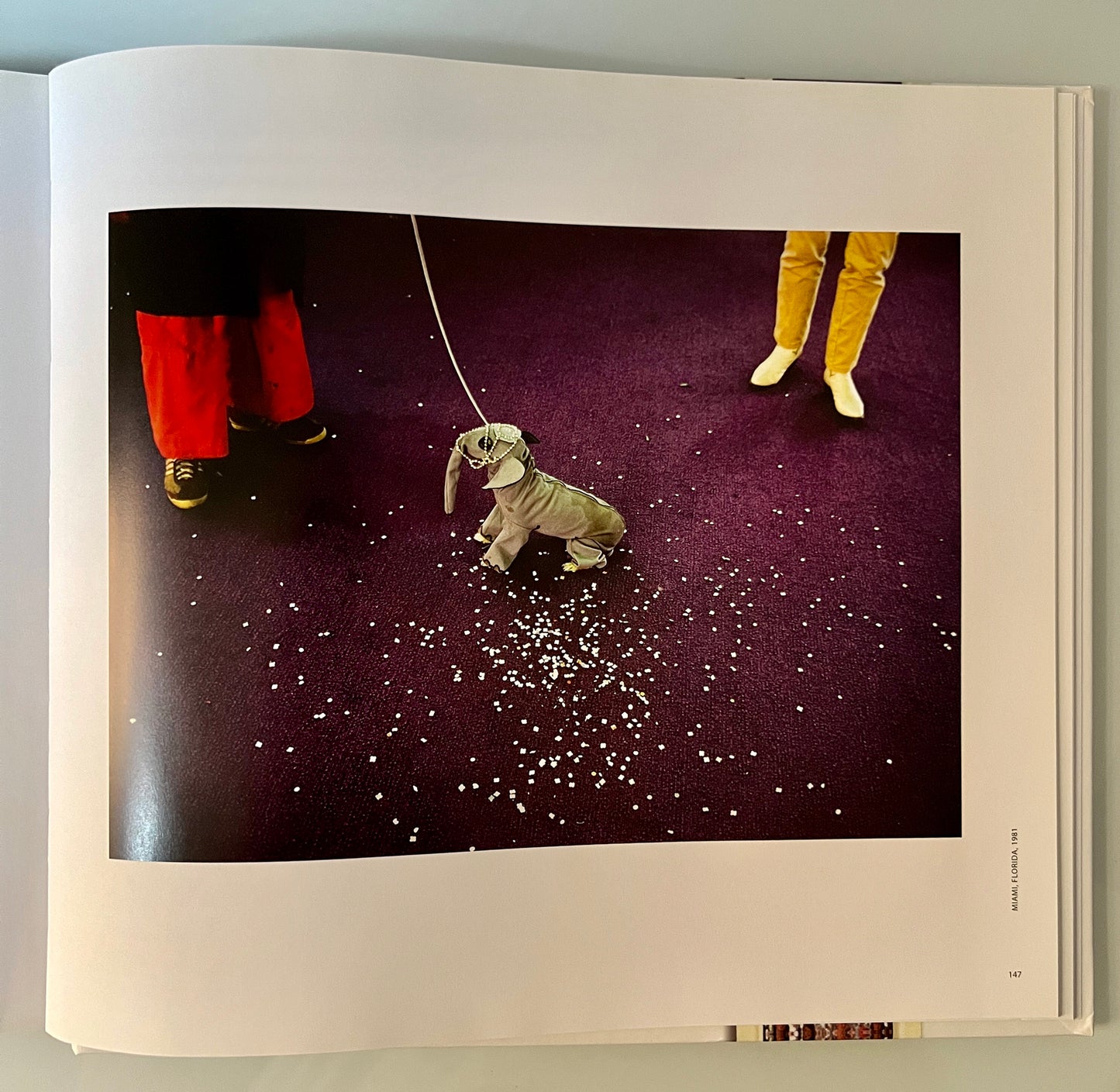 KODACHROME MEMORY