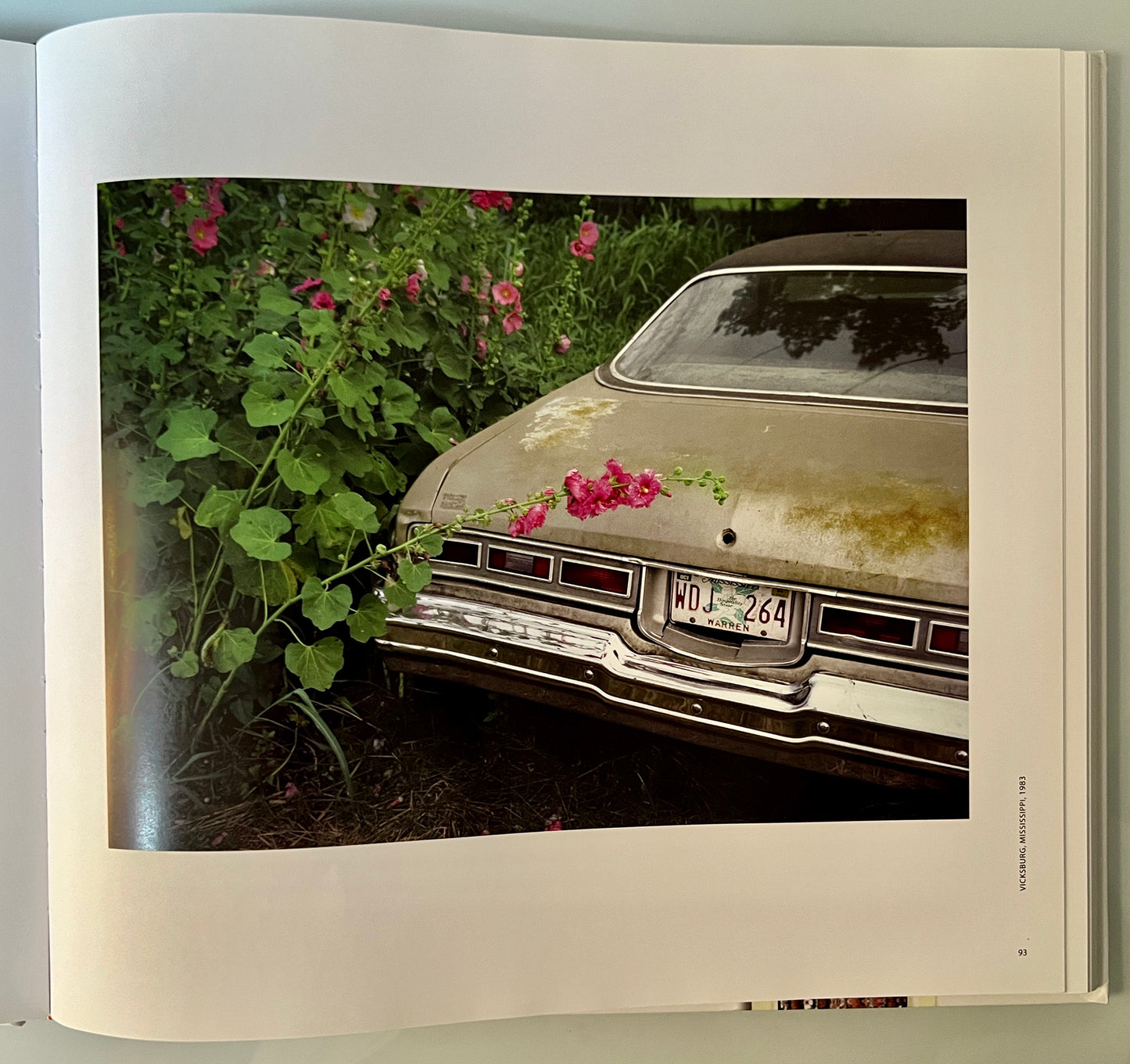 KODACHROME MEMORY